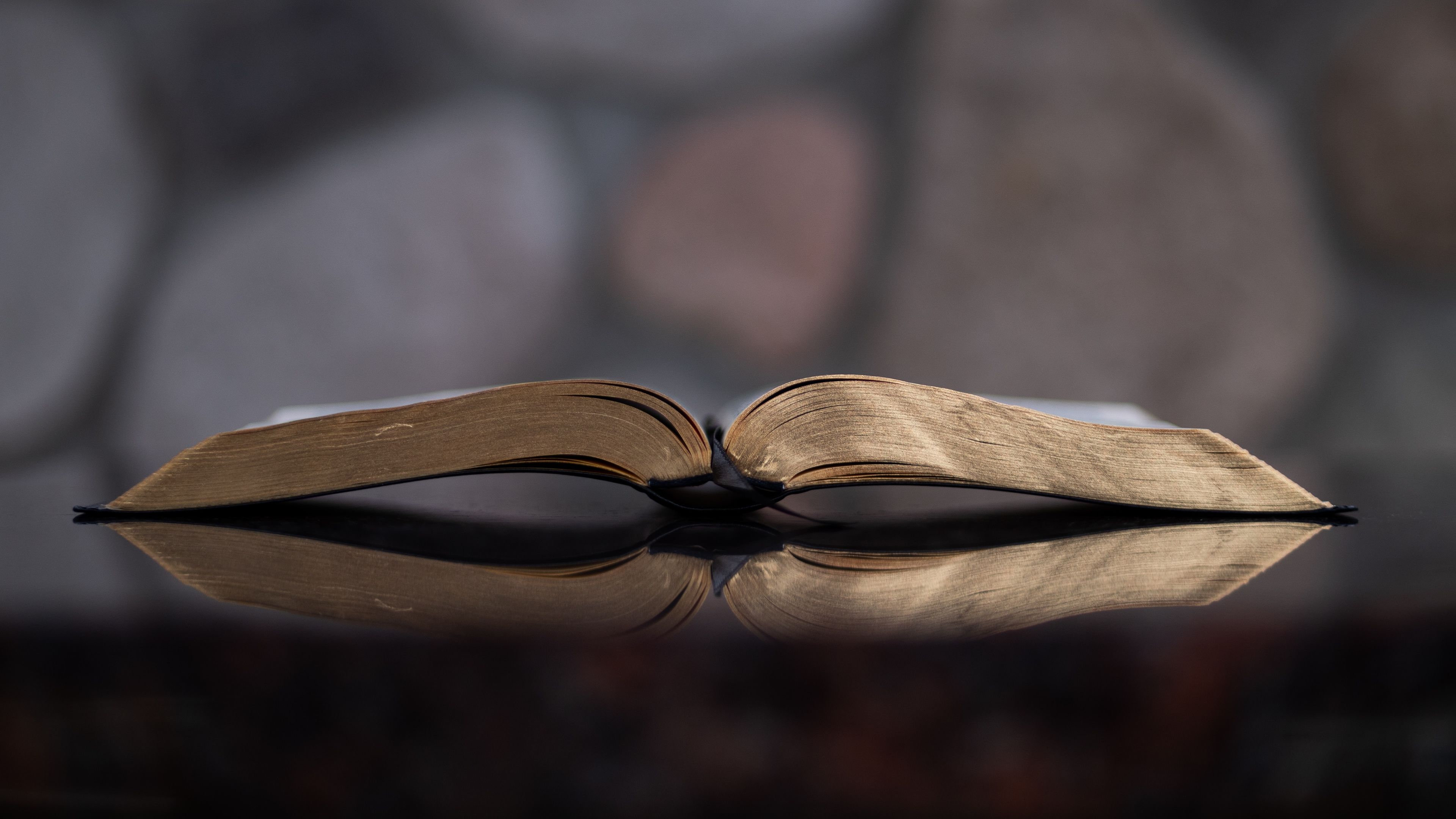 An bible left open on a table with a blurred background